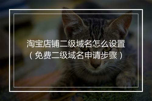 淘宝店铺二级域名怎么设置（免费二级域名申请步骤）