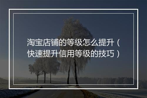 淘宝店铺的等级怎么提升（快速提升信用等级的技巧）