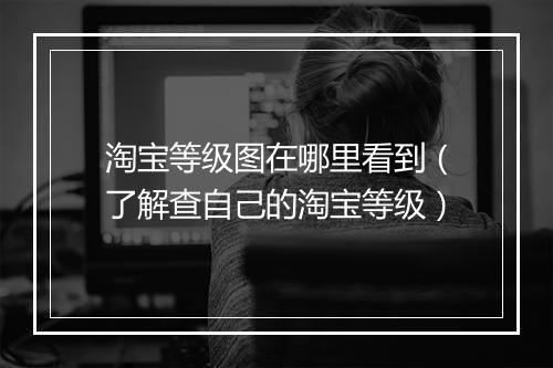 淘宝等级图在哪里看到（了解查自己的淘宝等级）
