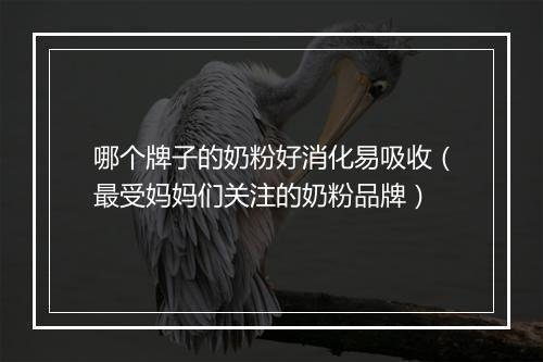 哪个牌子的奶粉好消化易吸收（最受妈妈们关注的奶粉品牌）