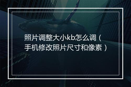 照片调整大小kb怎么调（手机修改照片尺寸和像素）