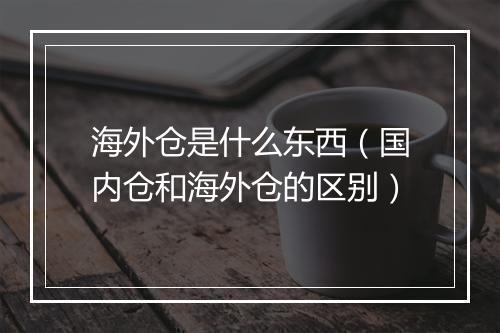 海外仓是什么东西（国内仓和海外仓的区别）