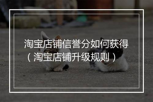 淘宝店铺信誉分如何获得（淘宝店铺升级规则）