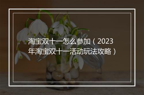 淘宝双十一怎么参加（2023年淘宝双十一活动玩法攻略）