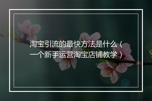 淘宝引流的最快方法是什么（一个新手运营淘宝店铺教学）