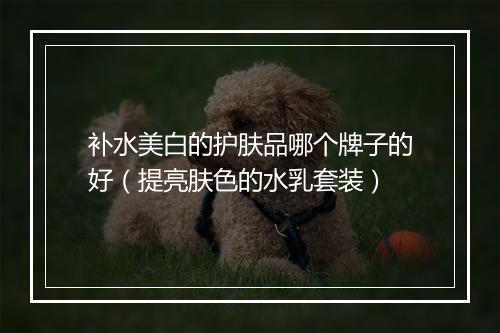 补水美白的护肤品哪个牌子的好（提亮肤色的水乳套装）