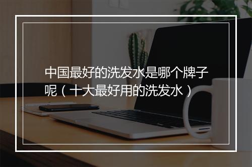 中国最好的洗发水是哪个牌子呢（十大最好用的洗发水）