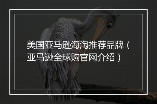 美国亚马逊海淘推荐品牌（亚马逊全球购官网介绍）