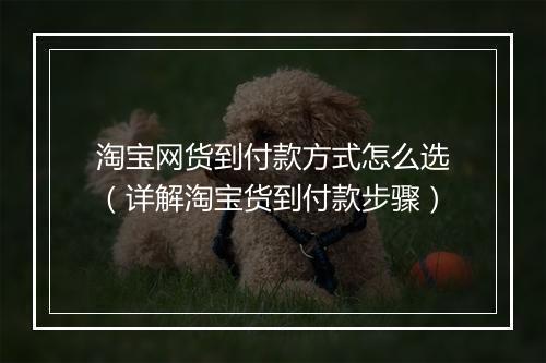 淘宝网货到付款方式怎么选（详解淘宝货到付款步骤）