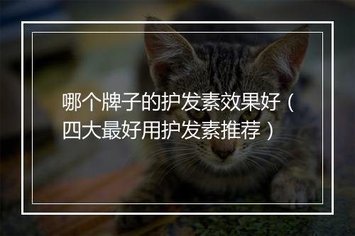 哪个牌子的护发素效果好（四大最好用护发素推荐）