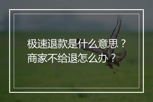 极速退款是什么意思？商家不给退怎么办？