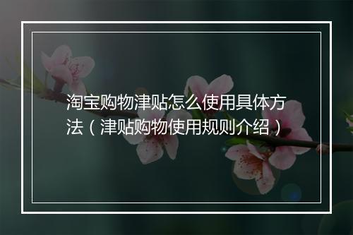 淘宝购物津贴怎么使用具体方法（津贴购物使用规则介绍）