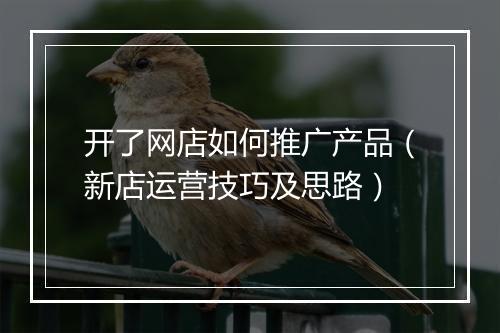 开了网店如何推广产品（新店运营技巧及思路）