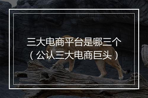 三大电商平台是哪三个（公认三大电商巨头）
