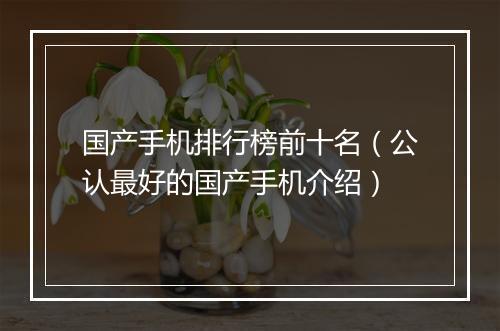 国产手机排行榜前十名（公认最好的国产手机介绍）