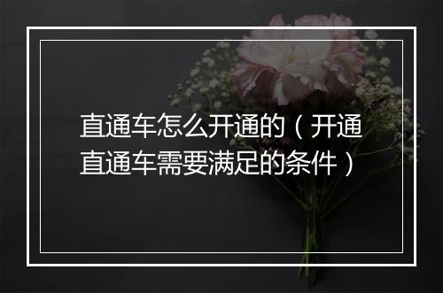 直通车怎么开通的（开通直通车需要满足的条件）
