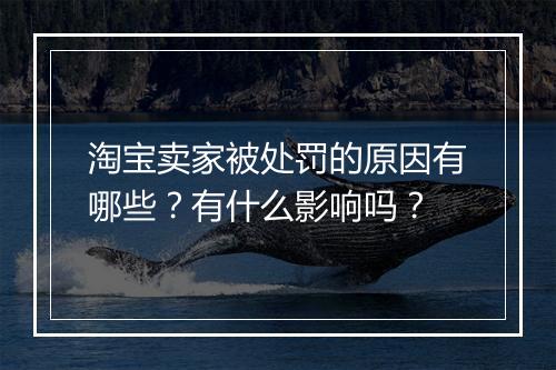 淘宝卖家被处罚的原因有哪些？有什么影响吗？