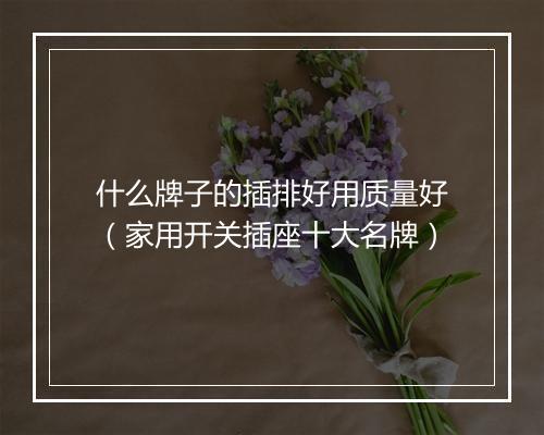 什么牌子的插排好用质量好（家用开关插座十大名牌）