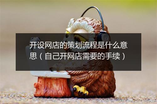 开设网店的策划流程是什么意思（自己开网店需要的手续）