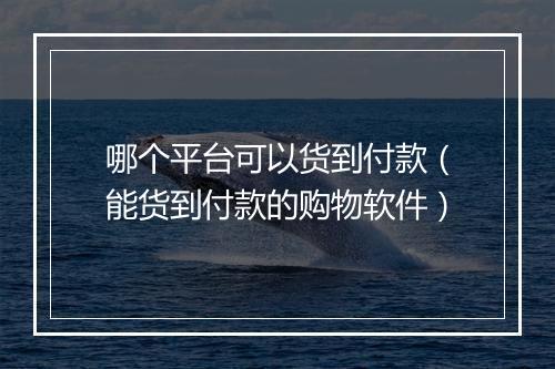哪个平台可以货到付款（能货到付款的购物软件）