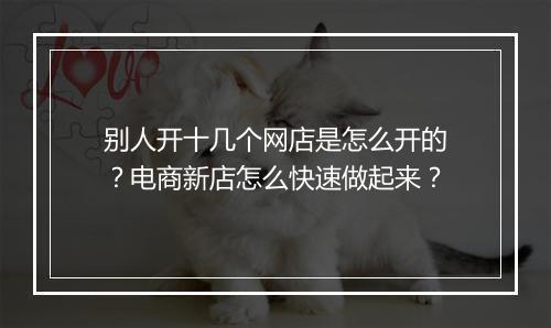 别人开十几个网店是怎么开的？电商新店怎么快速做起来？