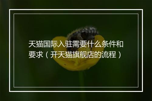 天猫国际入驻需要什么条件和要求（开天猫旗舰店的流程）