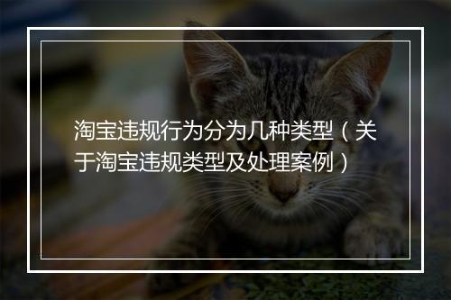 淘宝违规行为分为几种类型（关于淘宝违规类型及处理案例）