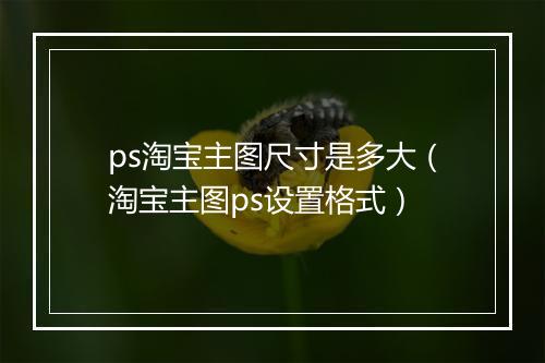 ps淘宝主图尺寸是多大（淘宝主图ps设置格式）