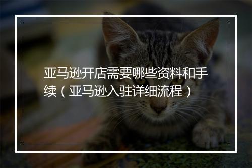 亚马逊开店需要哪些资料和手续（亚马逊入驻详细流程）