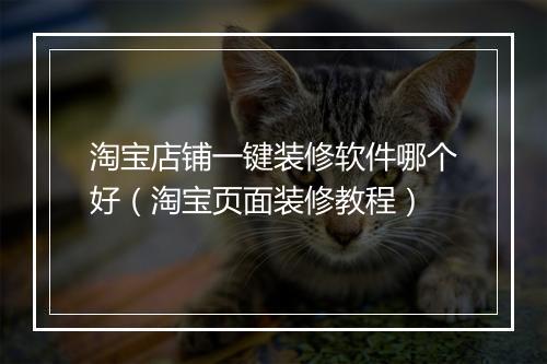 淘宝店铺一键装修软件哪个好（淘宝页面装修教程）