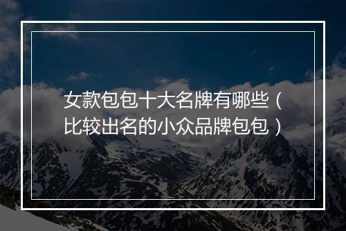 女款包包十大名牌有哪些（比较出名的小众品牌包包）
