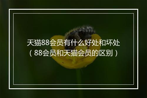 天猫88会员有什么好处和坏处（88会员和天猫会员的区别）