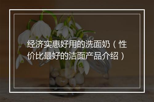 经济实惠好用的洗面奶（性价比最好的洁面产品介绍）