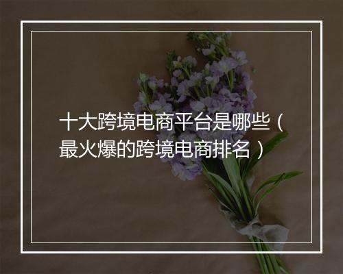 十大跨境电商平台是哪些（最火爆的跨境电商排名）