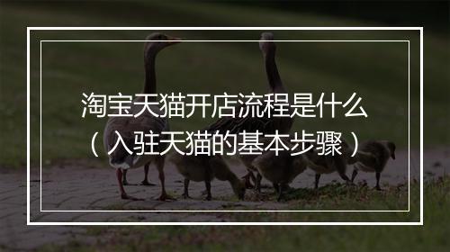 淘宝天猫开店流程是什么（入驻天猫的基本步骤）