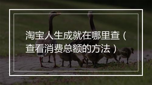 淘宝人生成就在哪里查（查看消费总额的方法）