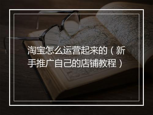 淘宝怎么运营起来的（新手推广自己的店铺教程）
