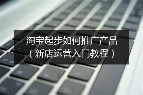 淘宝起步如何推广产品（新店运营入门教程）