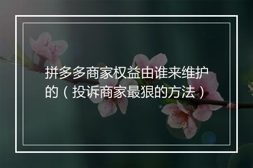 拼多多商家权益由谁来维护的（投诉商家最狠的方法）