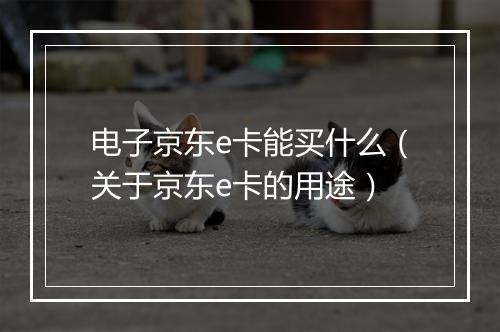 电子京东e卡能买什么（关于京东e卡的用途）