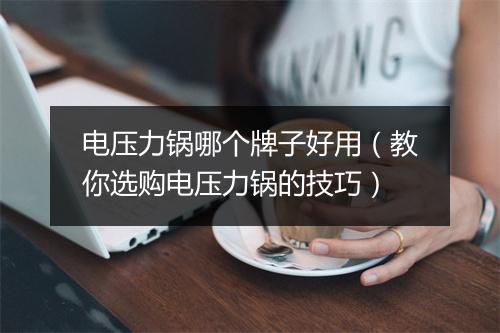 电压力锅哪个牌子好用（教你选购电压力锅的技巧）