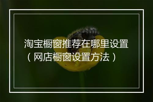 淘宝橱窗推荐在哪里设置（网店橱窗设置方法）