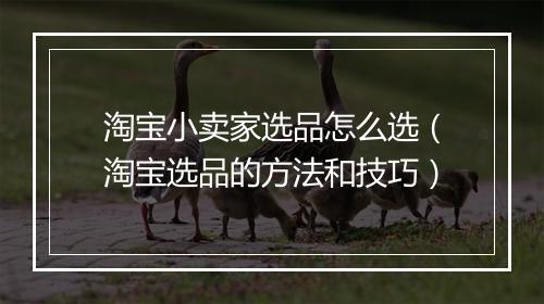 淘宝小卖家选品怎么选（淘宝选品的方法和技巧）
