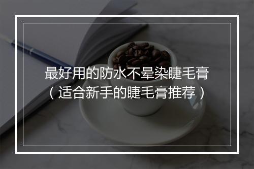 最好用的防水不晕染睫毛膏（适合新手的睫毛膏推荐）