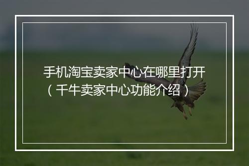 手机淘宝卖家中心在哪里打开（千牛卖家中心功能介绍）