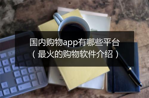 国内购物app有哪些平台（最火的购物软件介绍）