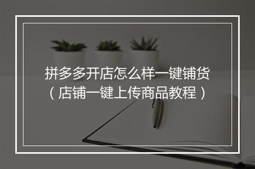 拼多多开店怎么样一键铺货（店铺一键上传商品教程）