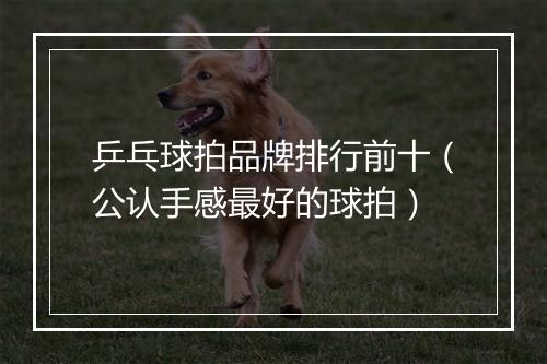 乒乓球拍品牌排行前十（公认手感最好的球拍）