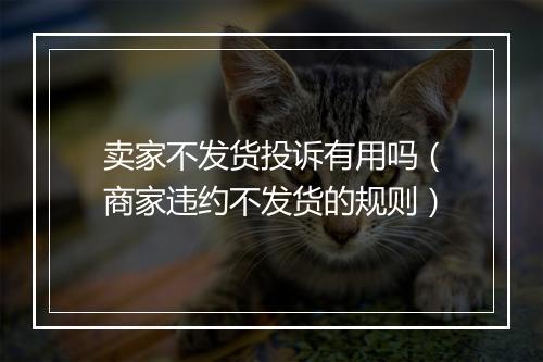 卖家不发货投诉有用吗（商家违约不发货的规则）