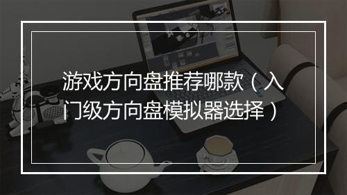 游戏方向盘推荐哪款（入门级方向盘模拟器选择）